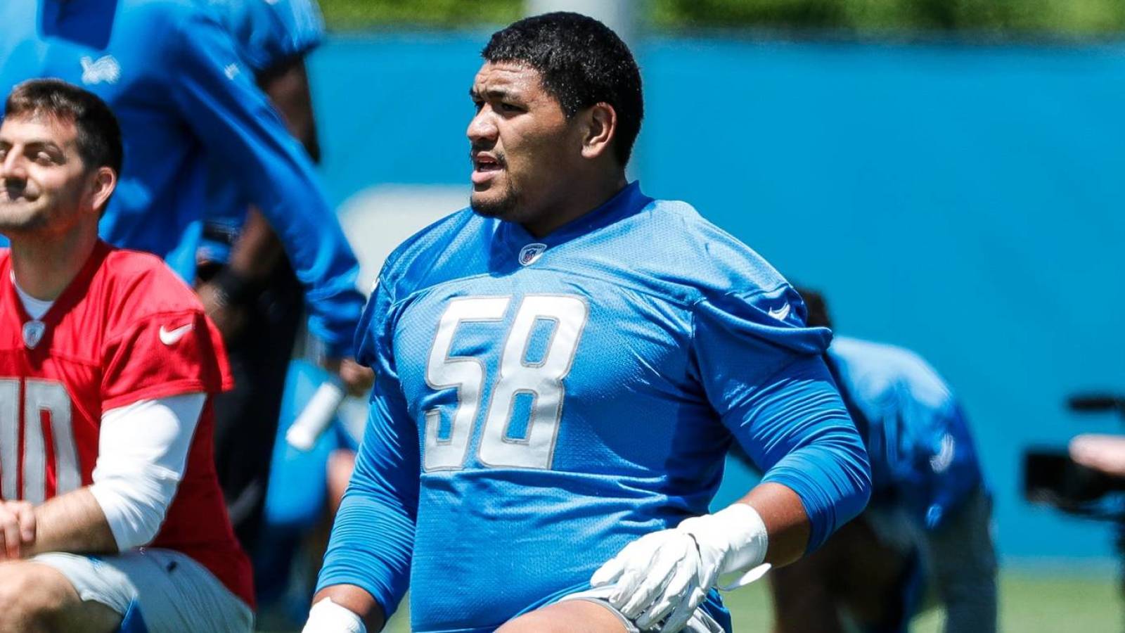 easy detroit lions