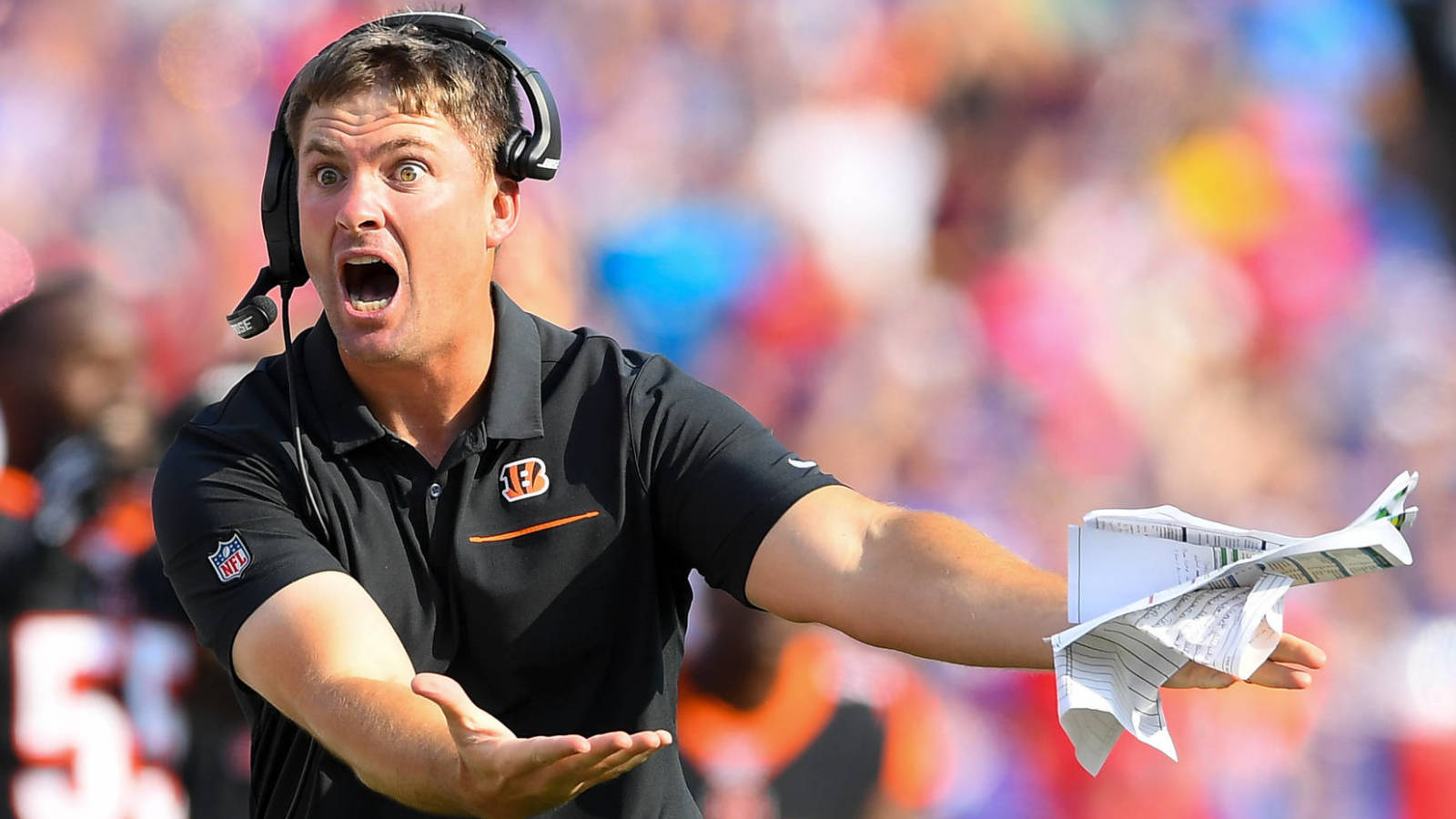 zac taylor bengals