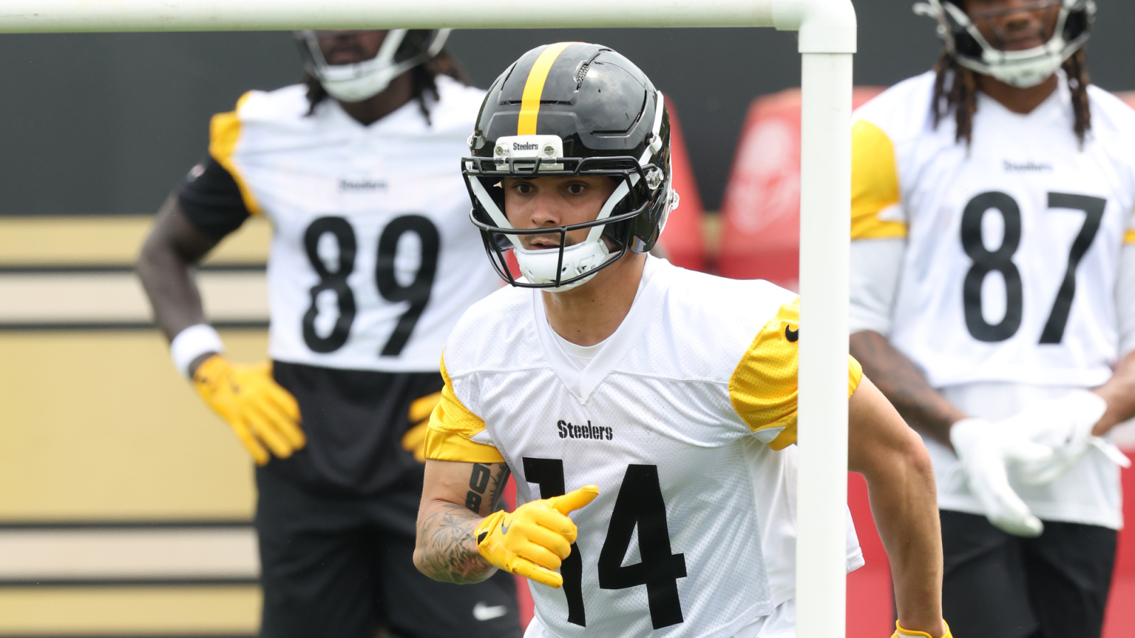 Ex-Steelers LB Is Thrilled For Roman Wilson To Finally Get What He Deserves