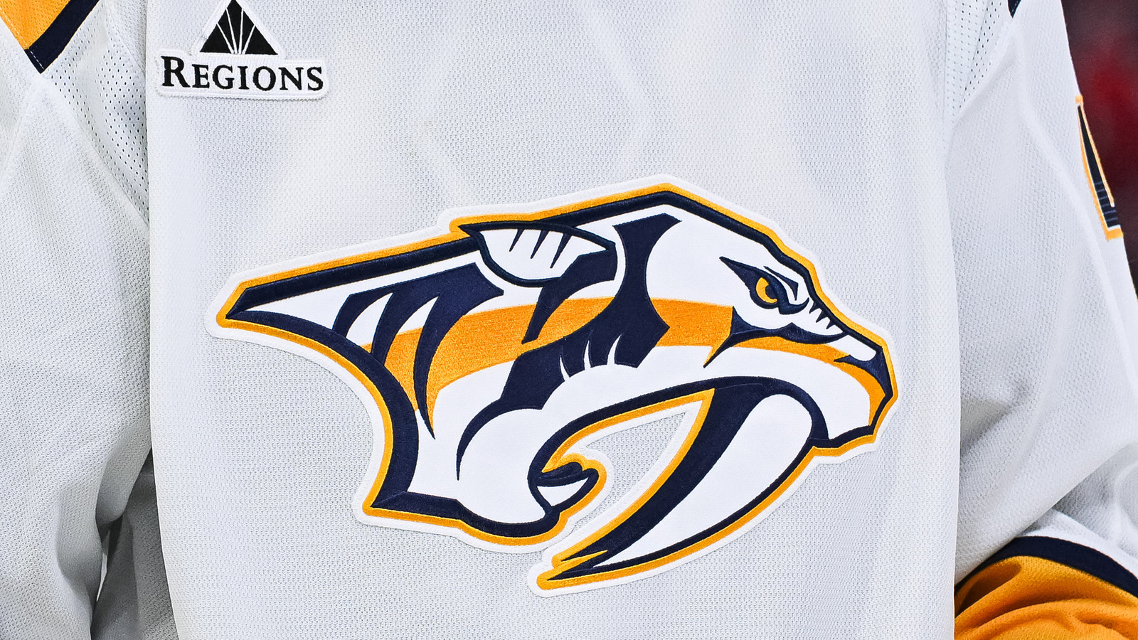 Predators Expected To Make More Defensive Changes