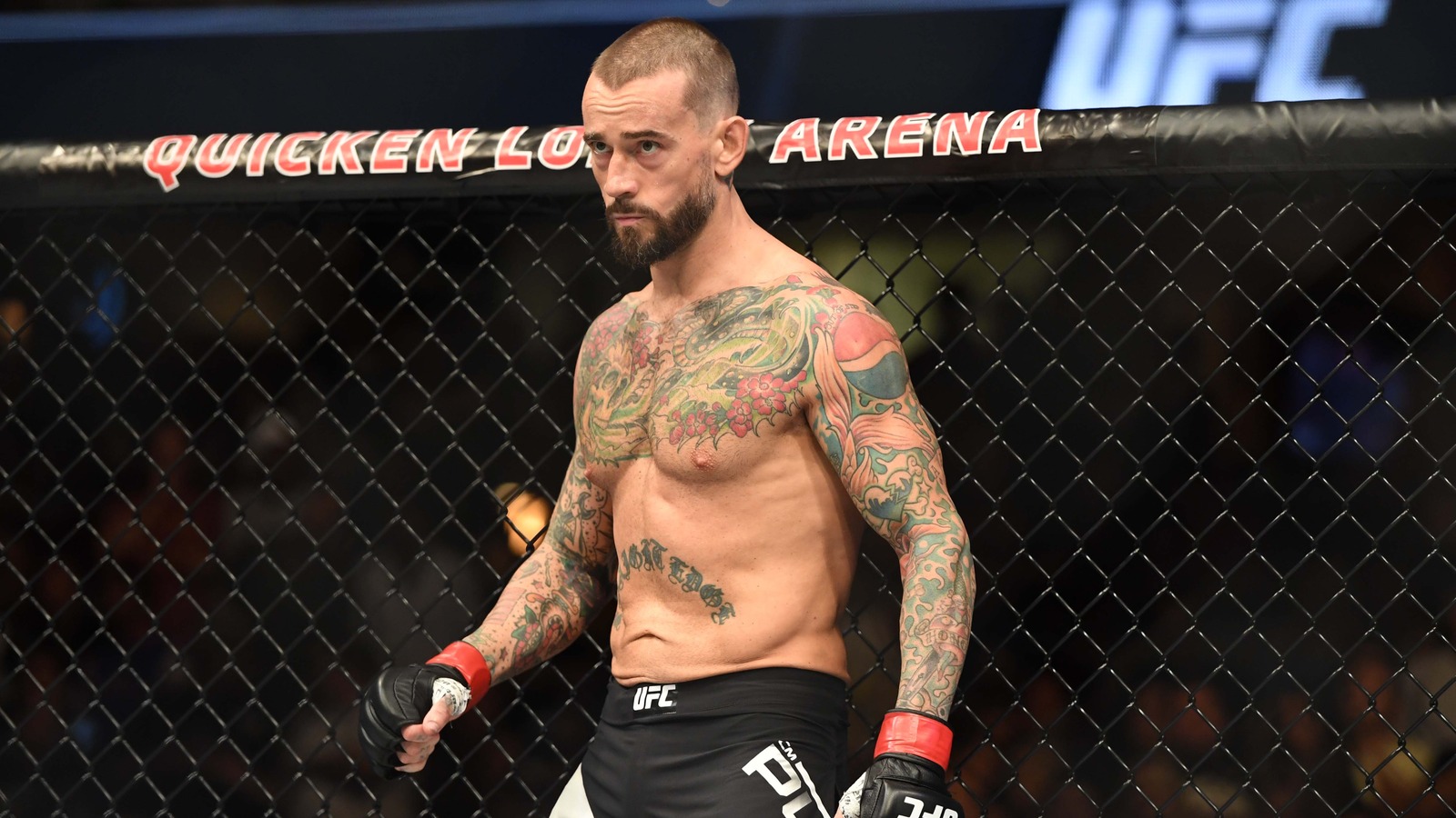 AJ Lee says CM Punk made $1 million for UFC fight | Yardbarker1600 x 900