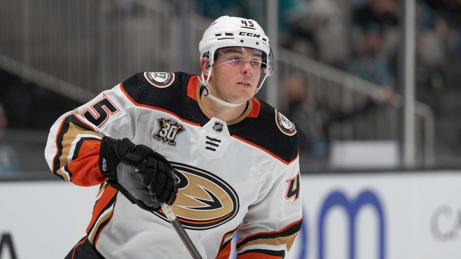 NHL News