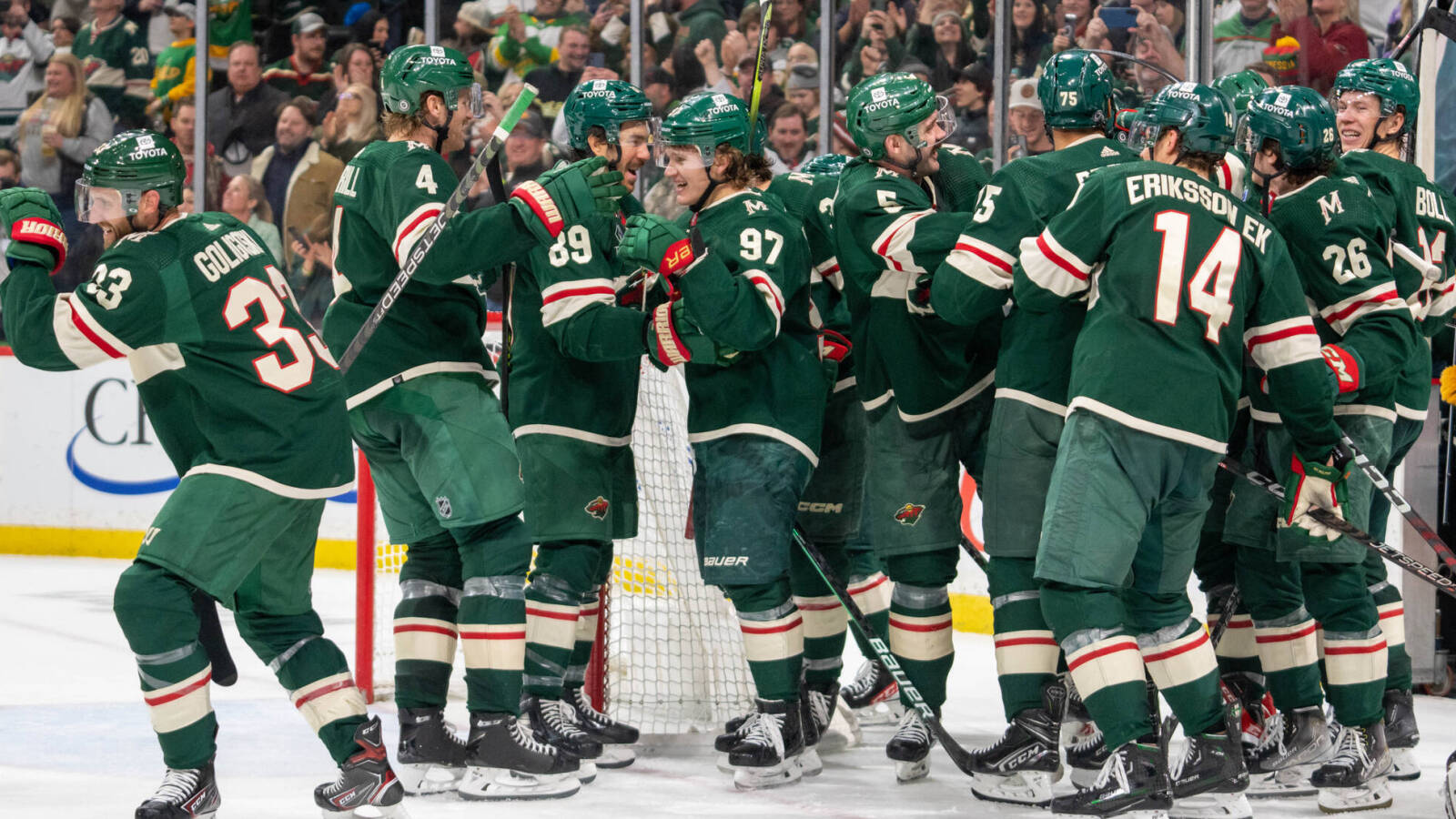 Minnesota Wild форма