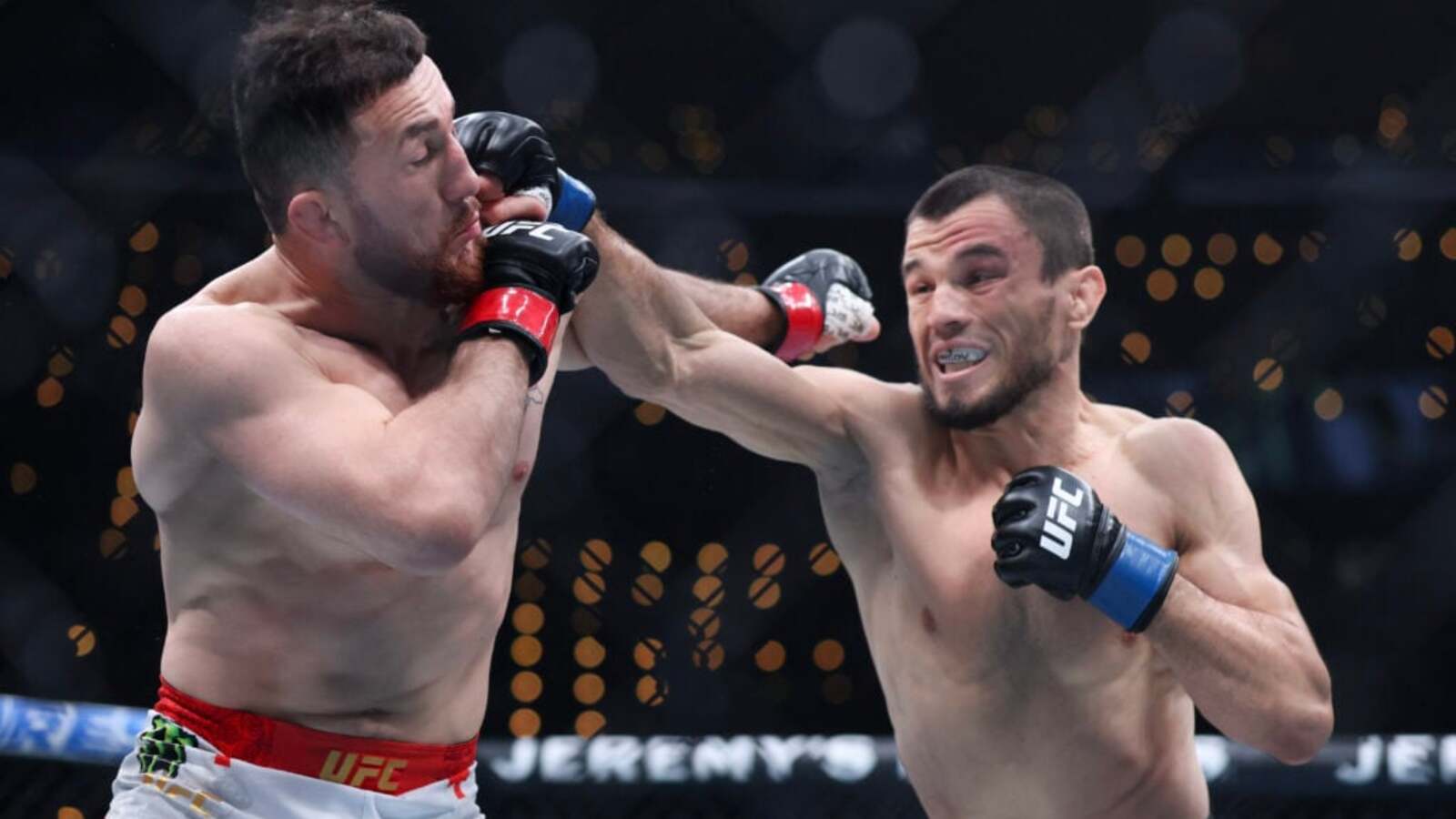 Umar Nurmagomedov favors revenge against Merab Dvalishvili over the UFC bantamweight title