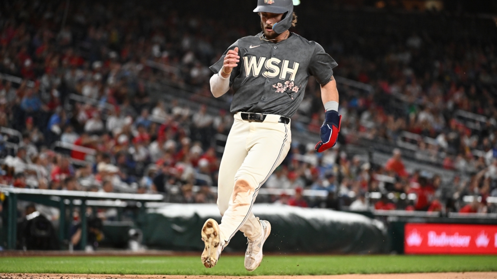 MLB News