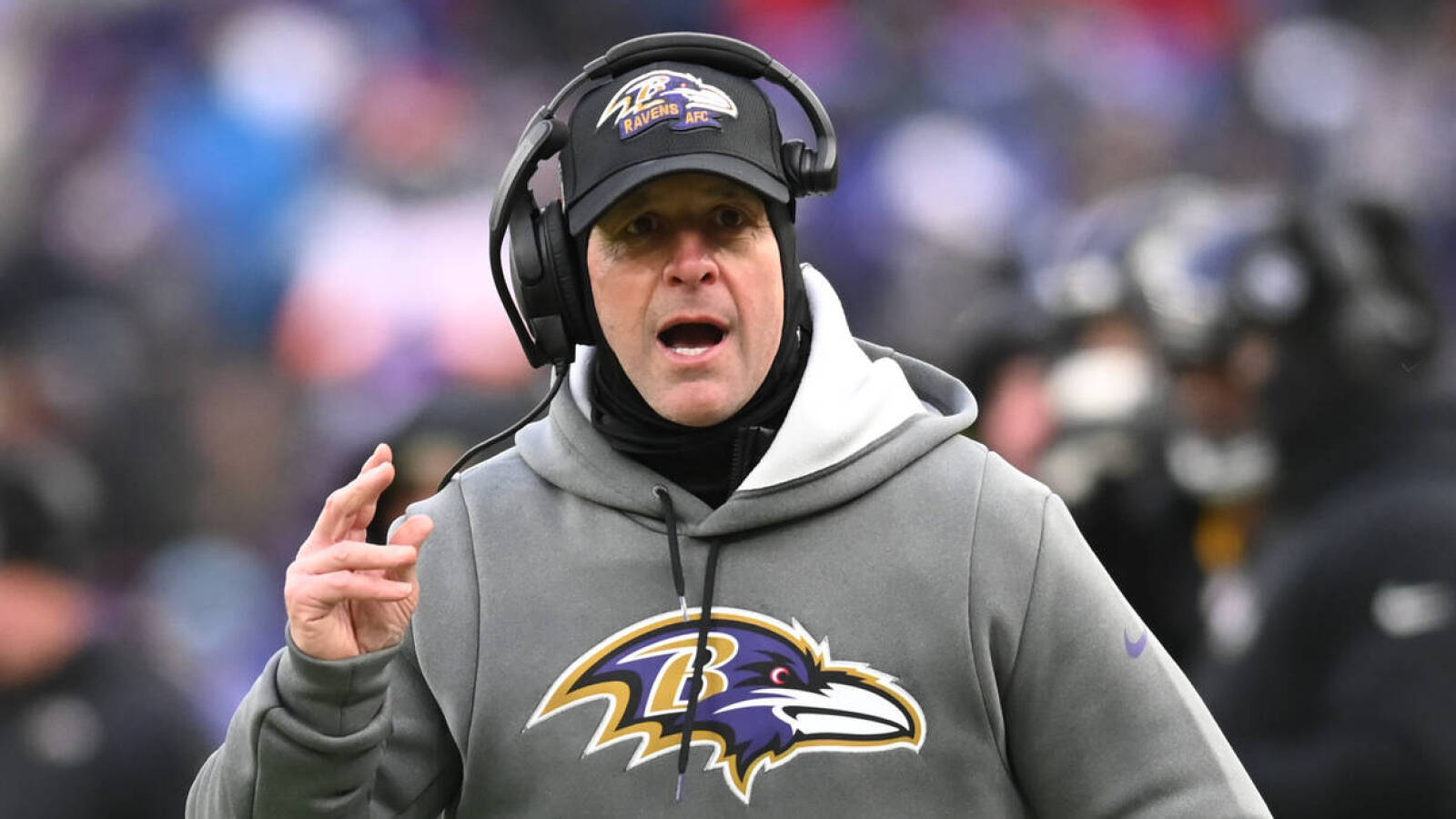 ravens head gear