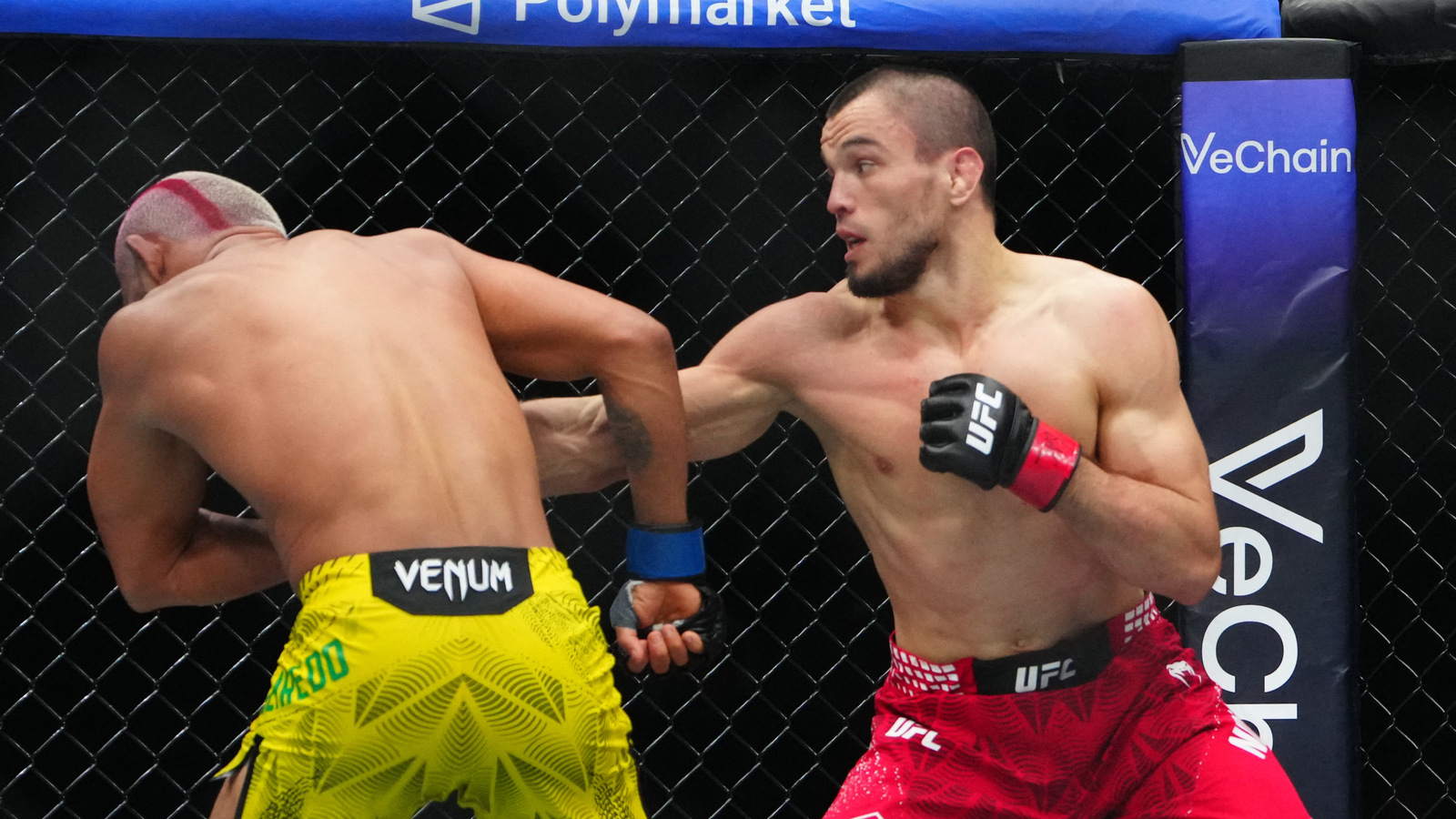 Umar Nurmagomedov Faces First Knockout Loss at UFC Shanghai