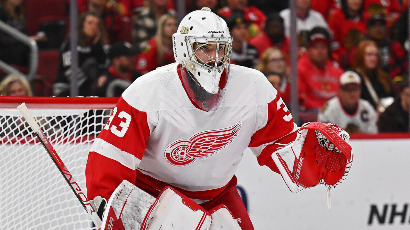 Is Sebastian Cossa the Red Wings Goalie of the Future? Yardbarker