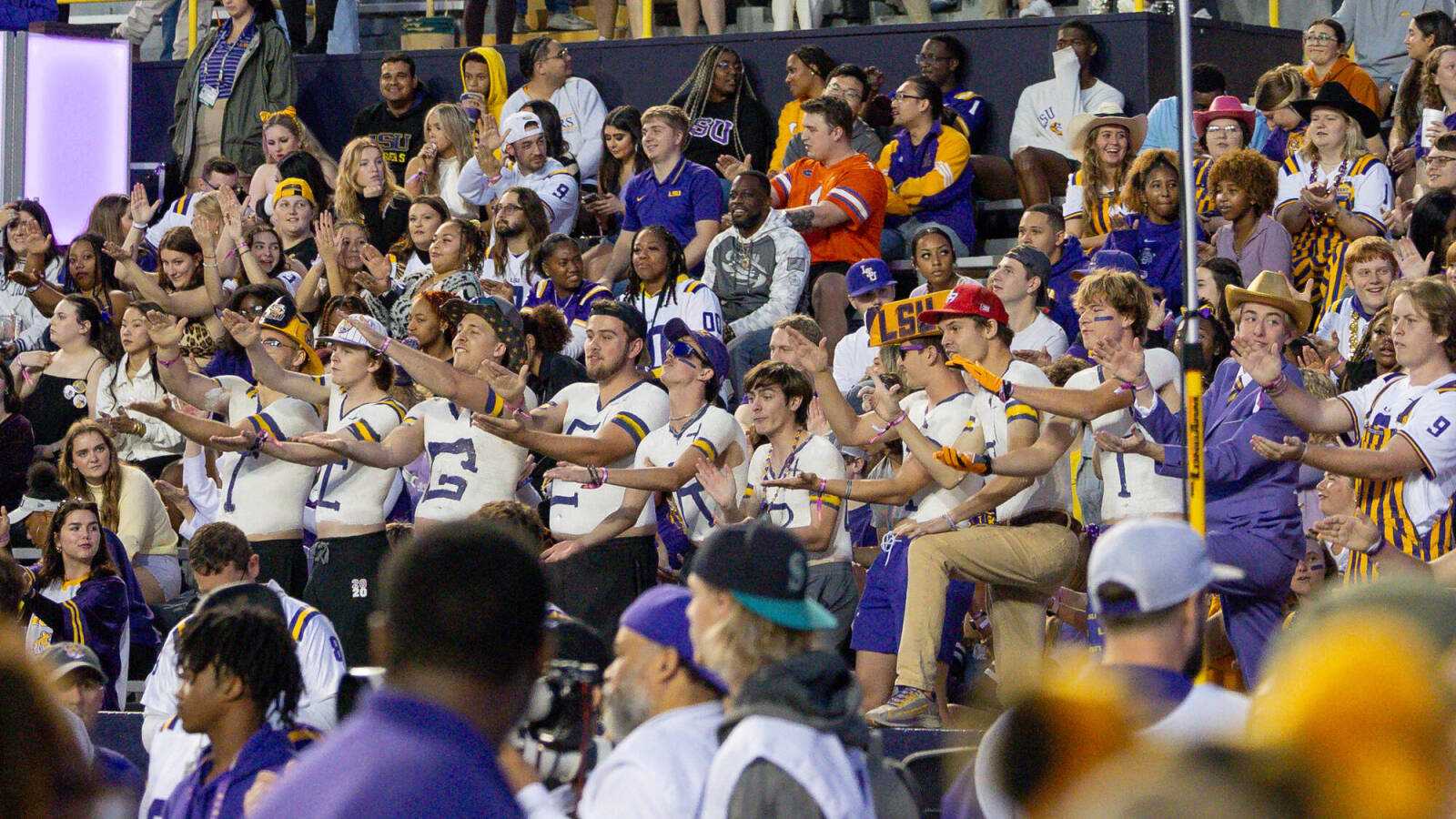 Watch Fan captures duck roaming the field during LSUFlorida game