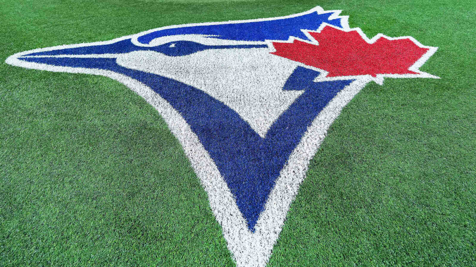 Blue Jays unexpectedly promote minor-league speedster Rudy Martin Jr.
