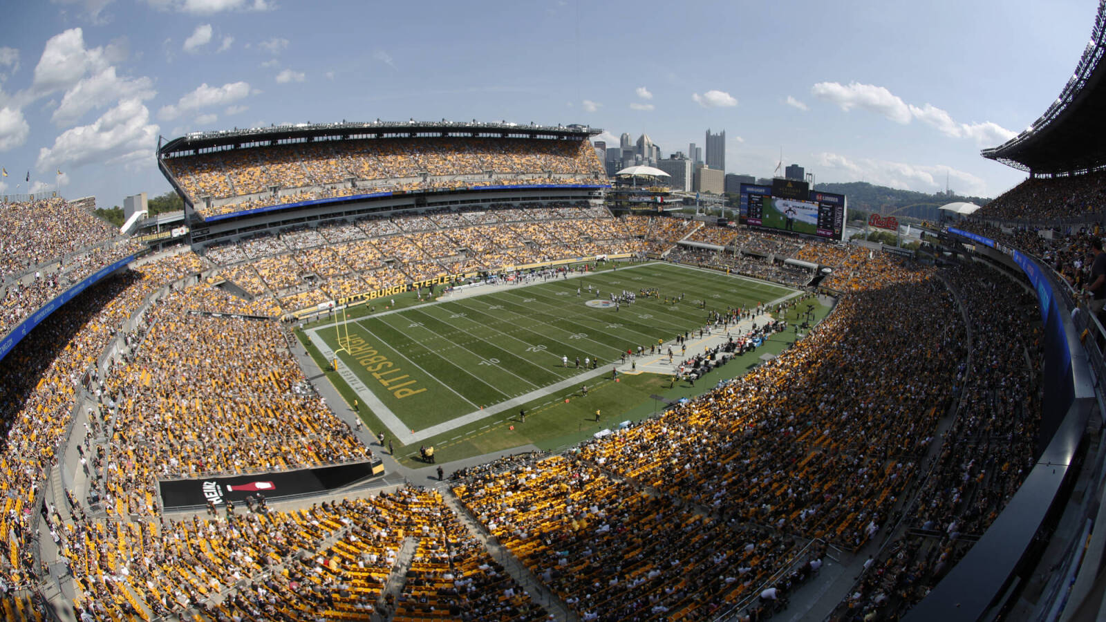 Group of pigeons take residence on field during SteelersSaints game