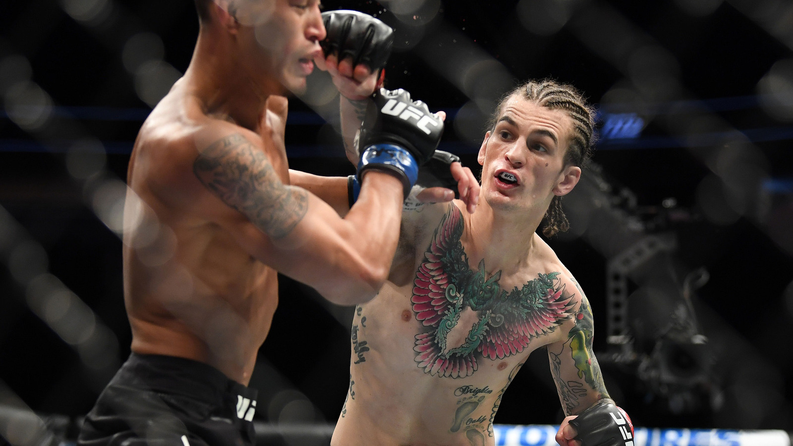 Sean O'Malley impresses in UFC PPV debut | Yardbarker
