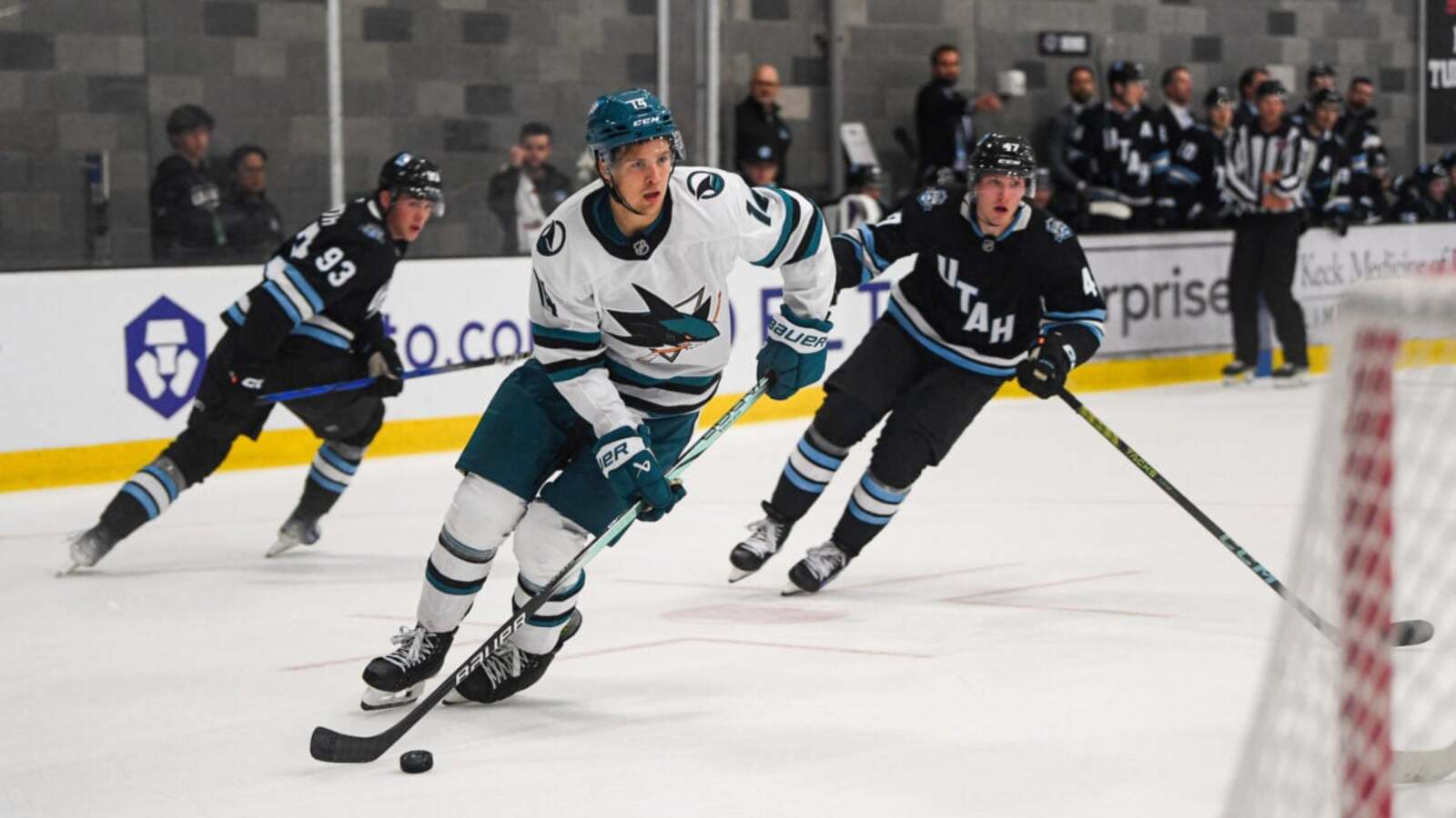 Sharks’ Forward and Defense Prospects in Very Different Places