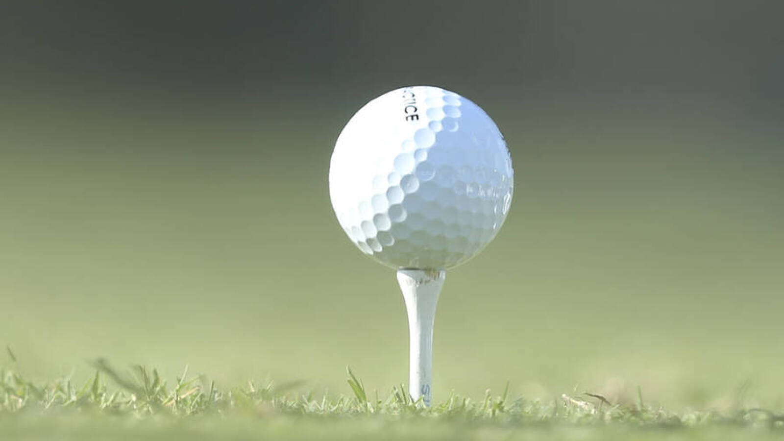PGA announces B investment deal, opportunity for player equity