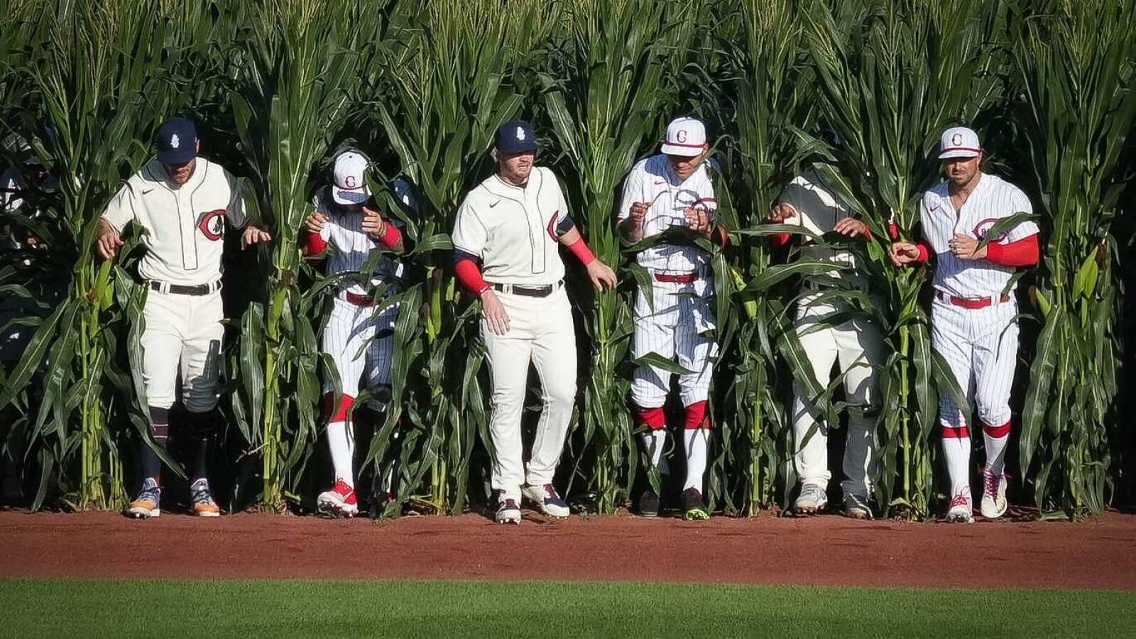 Cubs beat Reds in second Field of Dreams Game - Vimarsana News