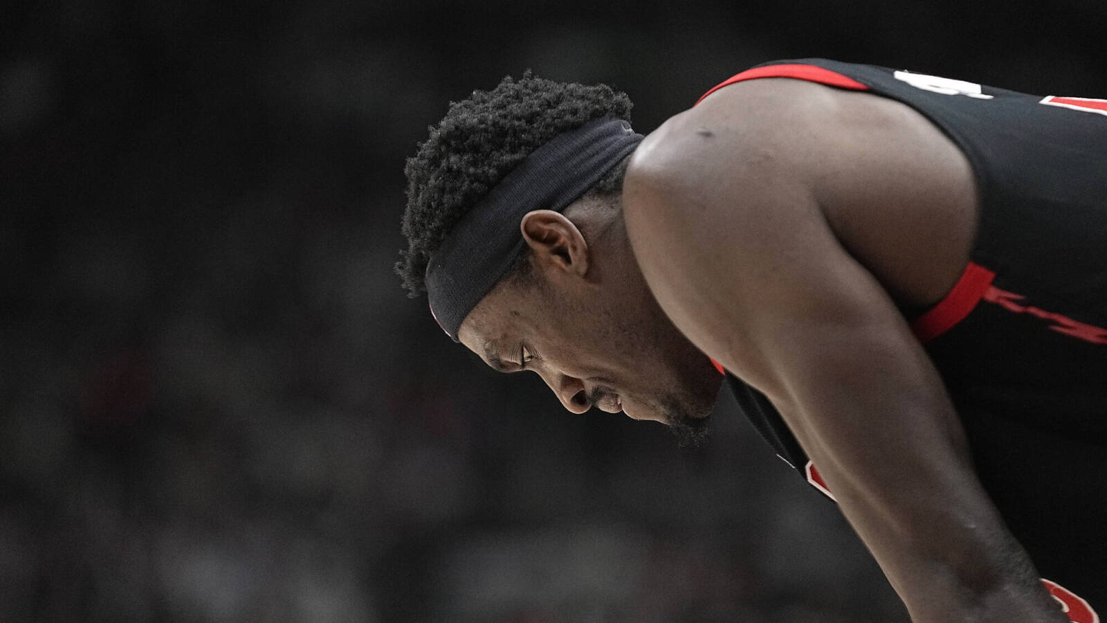 Toronto Raptors stock up, stock down - Vimarsana News