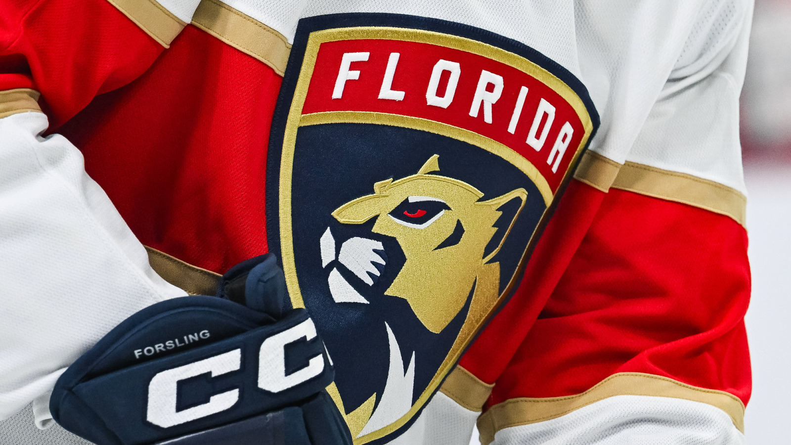 Panthers team president leaves to become CEO of NBA, WNBA team