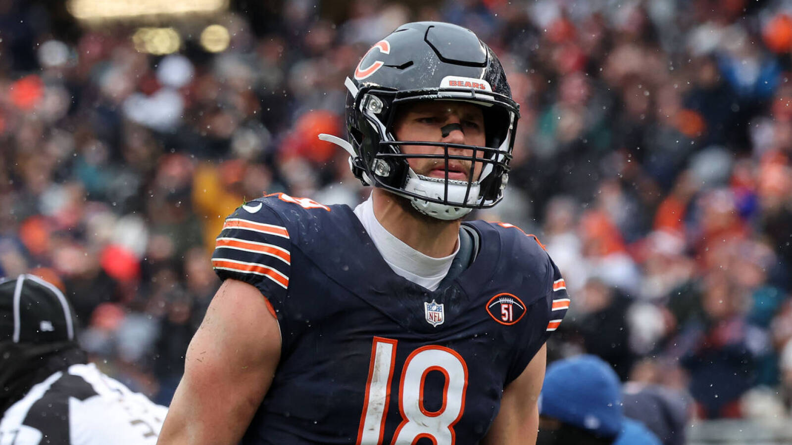 Former Bears, Packers TE signs with another NFC North team | Yardbarker