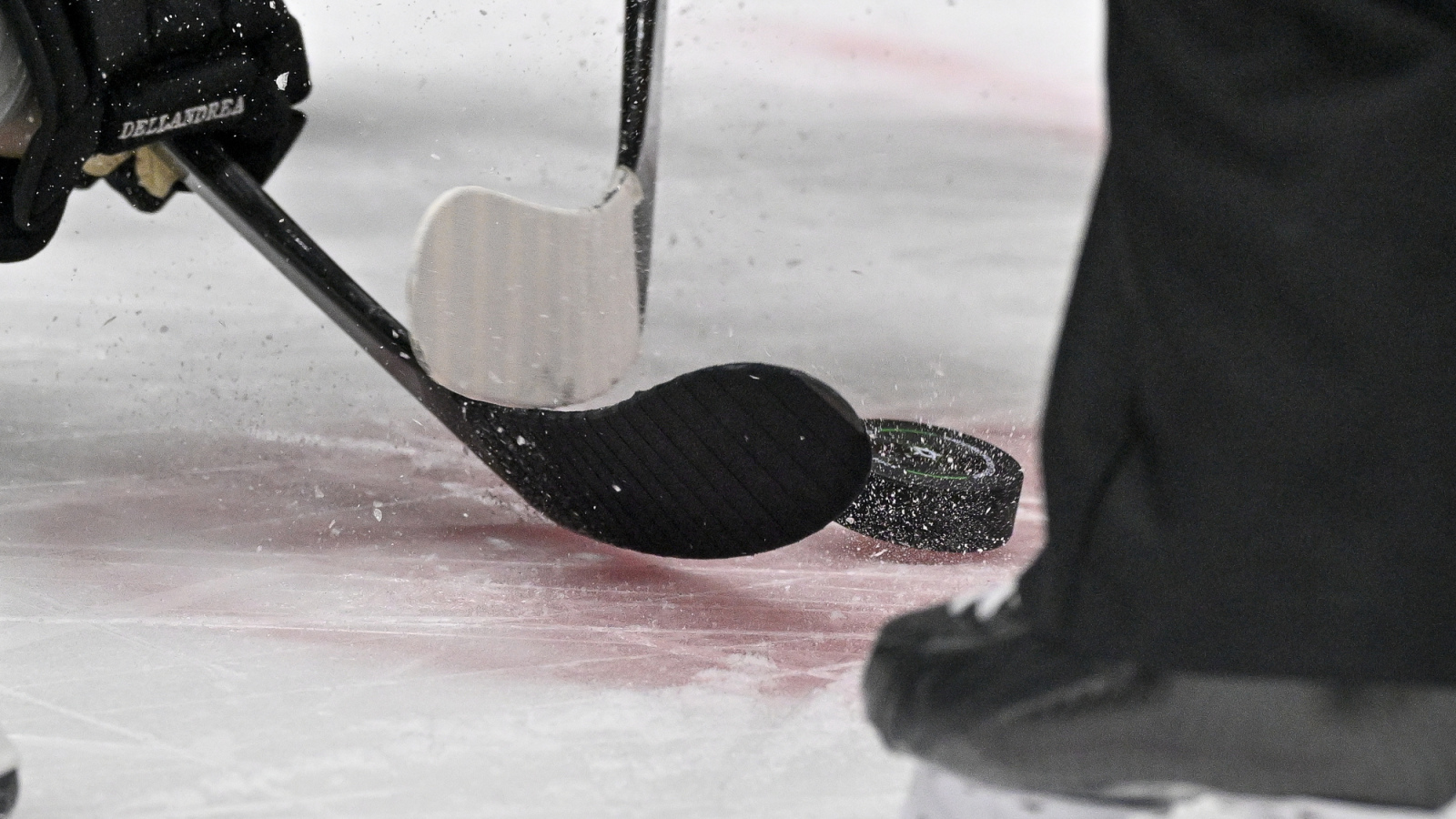 NHL News