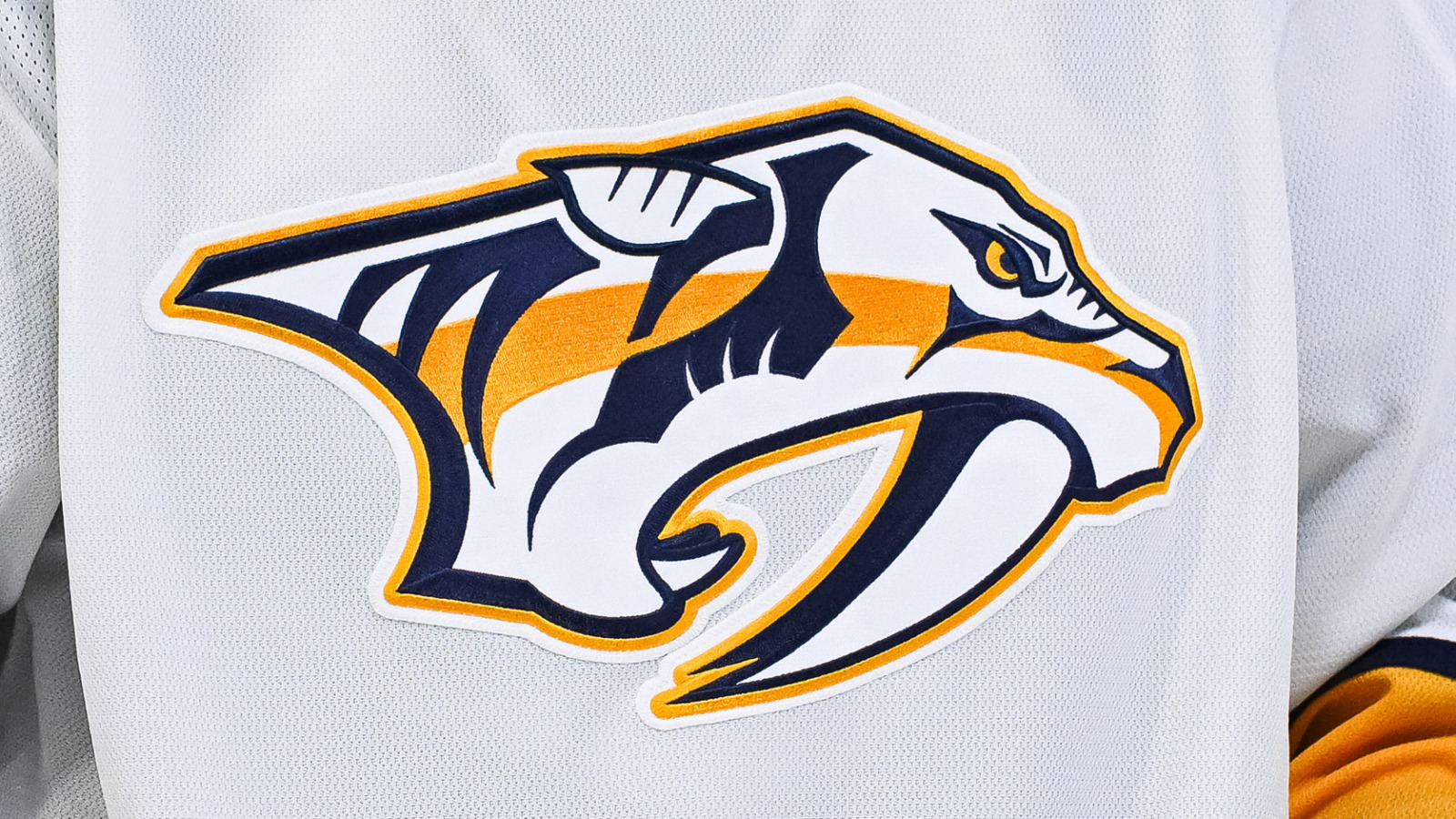 Nashville Predators' GM Chris MacFarland Implements Major Roster Changes