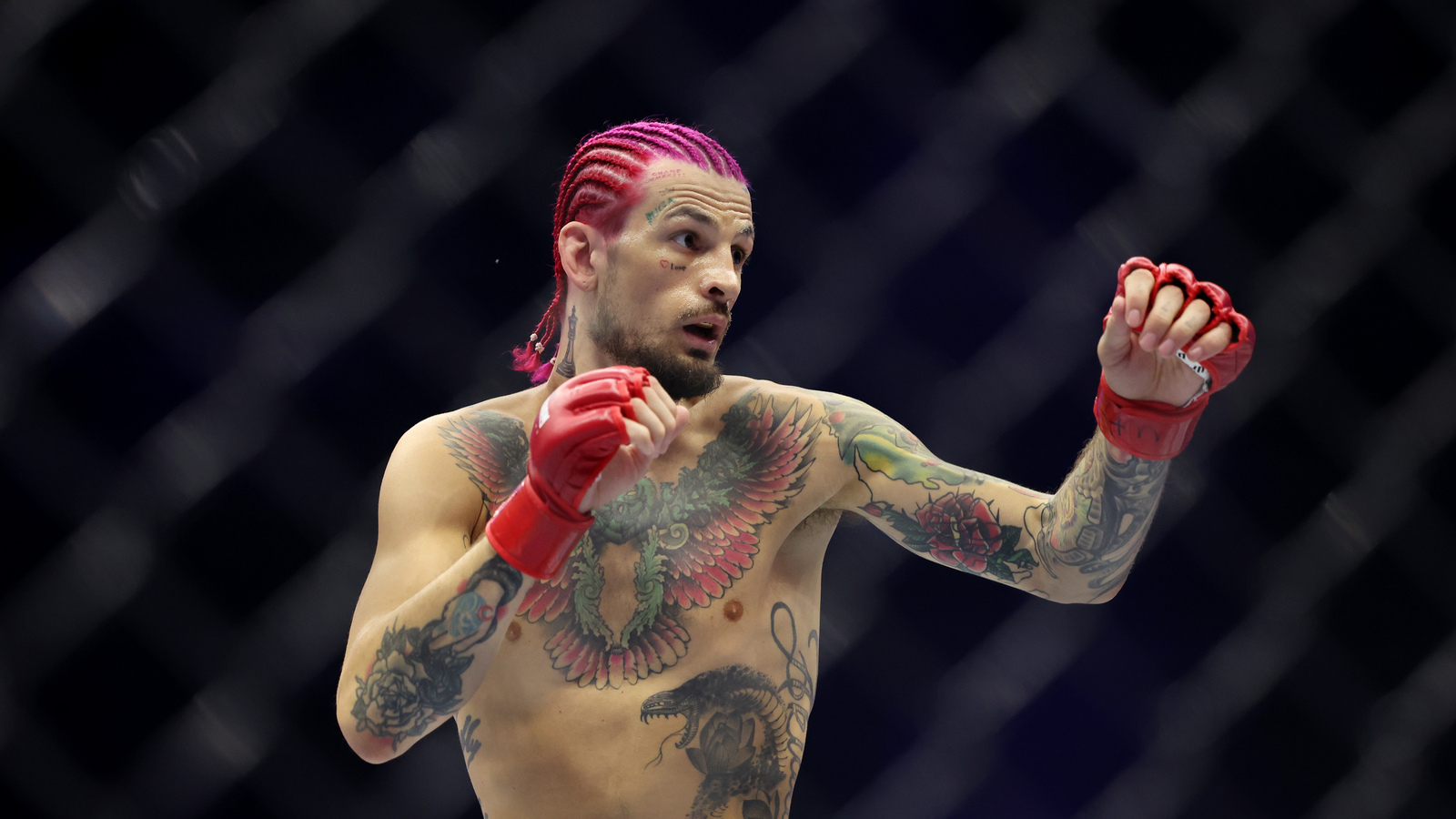 O'Malley Supports Song's Title Shot After Nurmagomedov KO