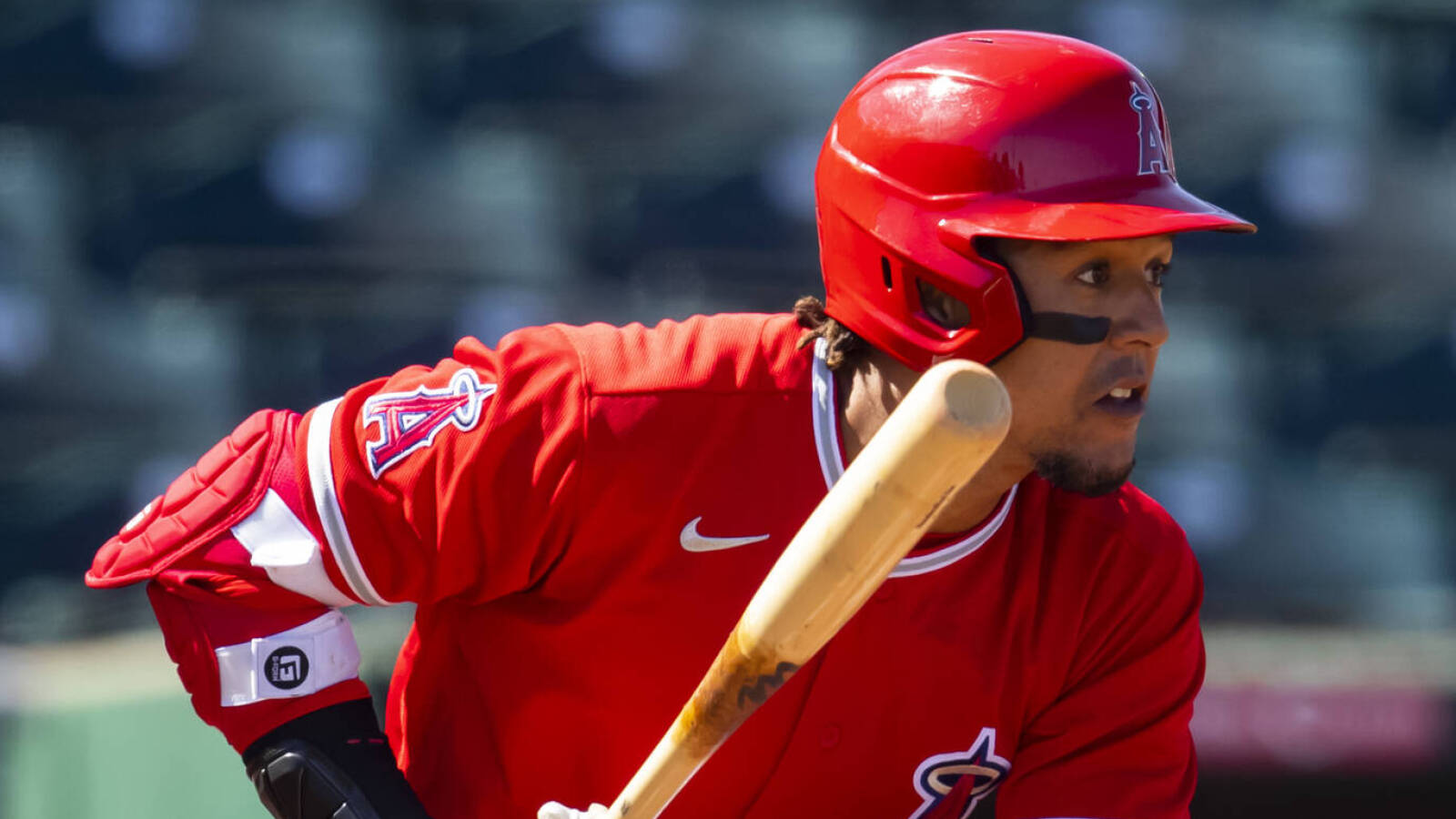 jon jay cardinals
