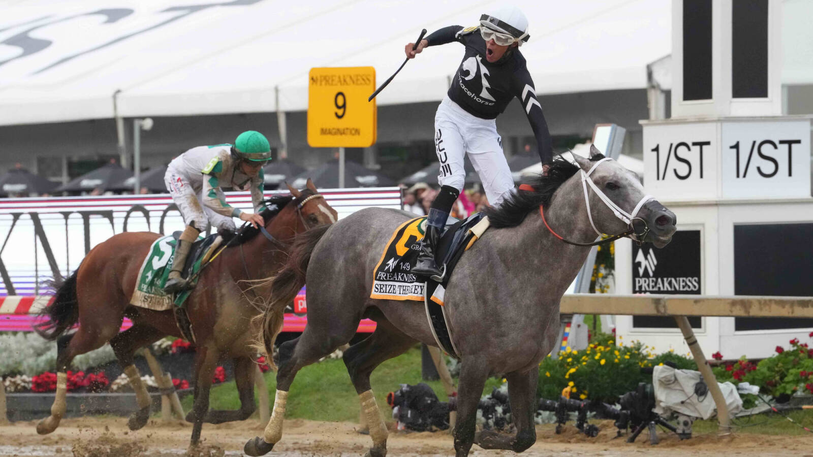 Mystik Dan unable to keep Triple Crown quest alive - Vimarsana News