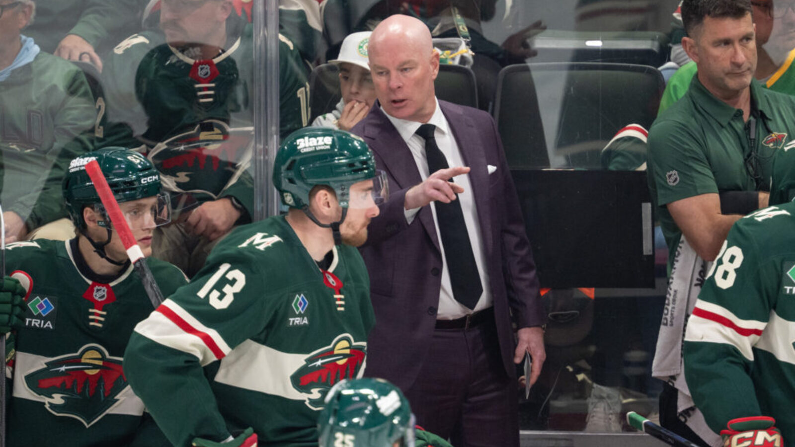 Minnesota Wild Suddenly Dump Veteran Defenseman