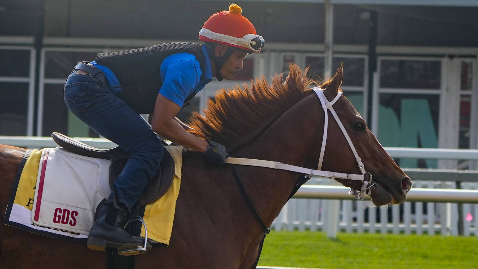 Derby winner Mage resumes Triple Crown chase in the Preakness Stakes - Vimarsana News