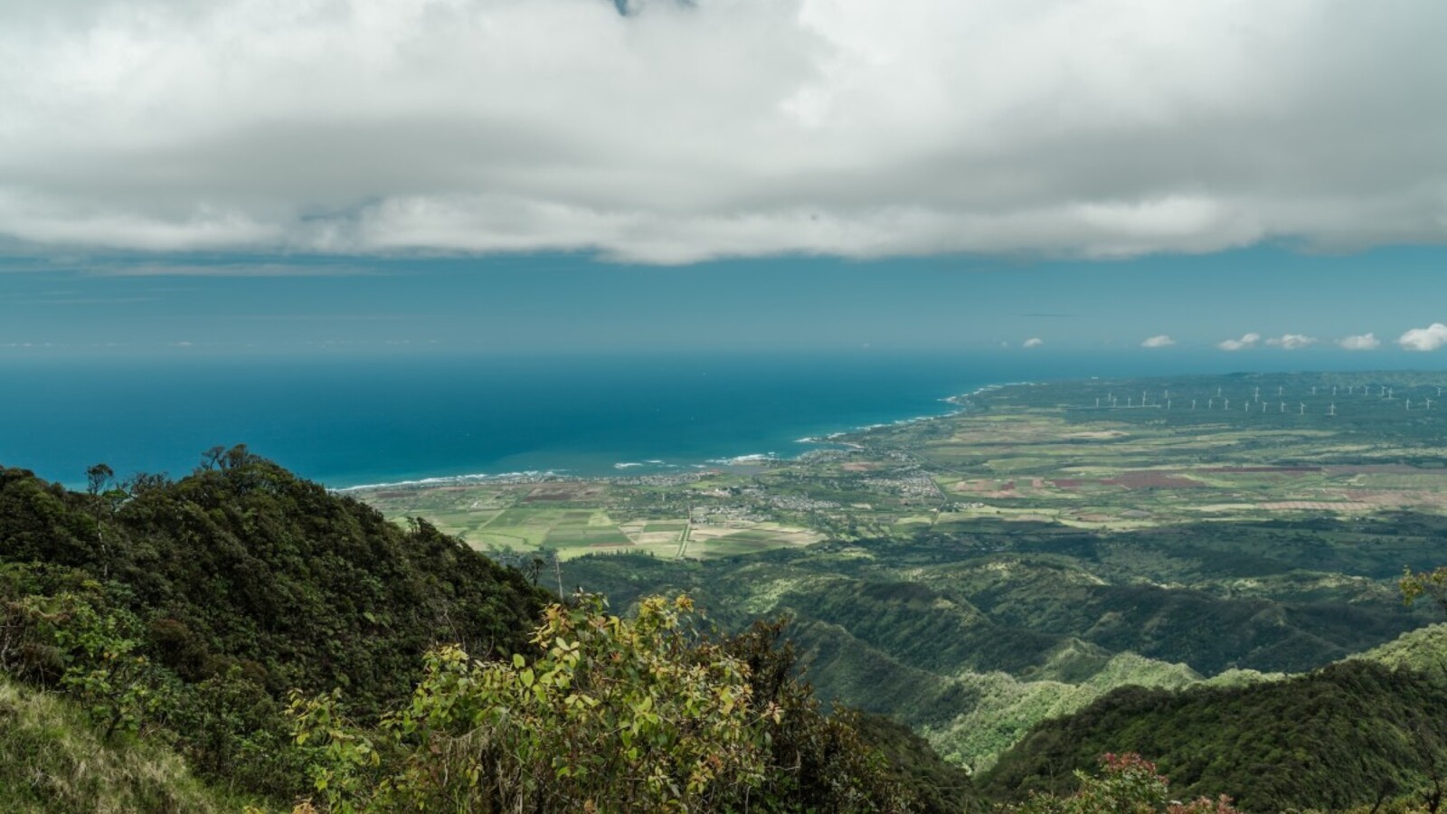 Getty Images Controversial Gondola, Zipline Proposed for North Shore of Oahu Originally posted on SURFER | By Dashel Pierson | Last updated May 20, 2025 5:29 PM ET