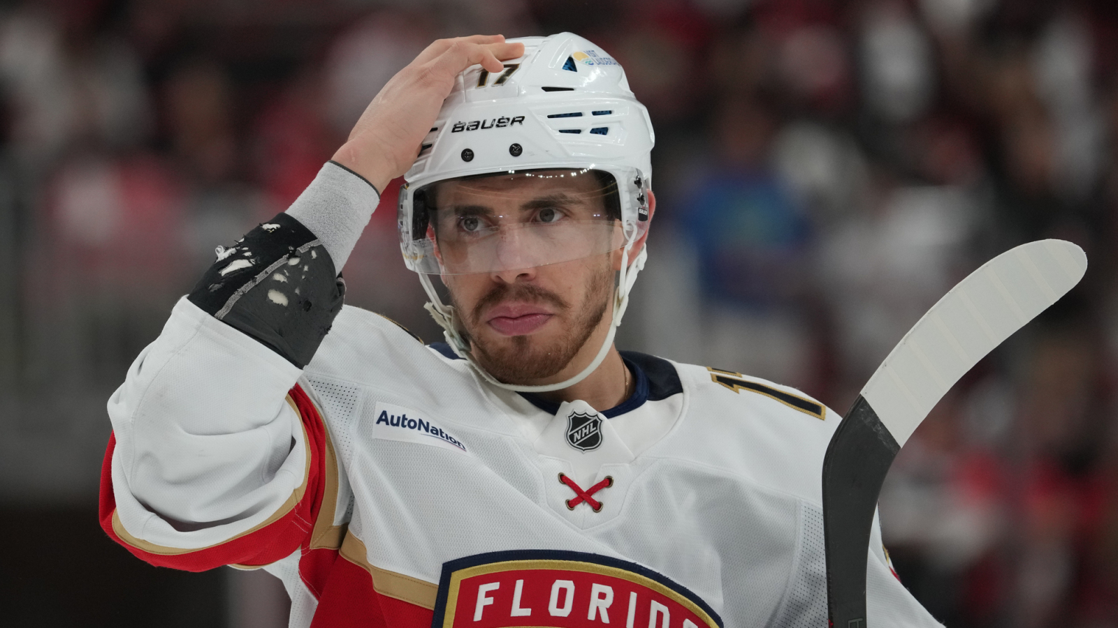 NHL News