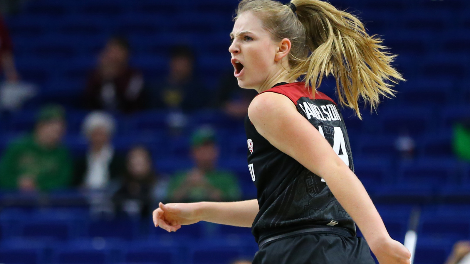 Everything you need to know for the Women's Final Four | Yardbarker