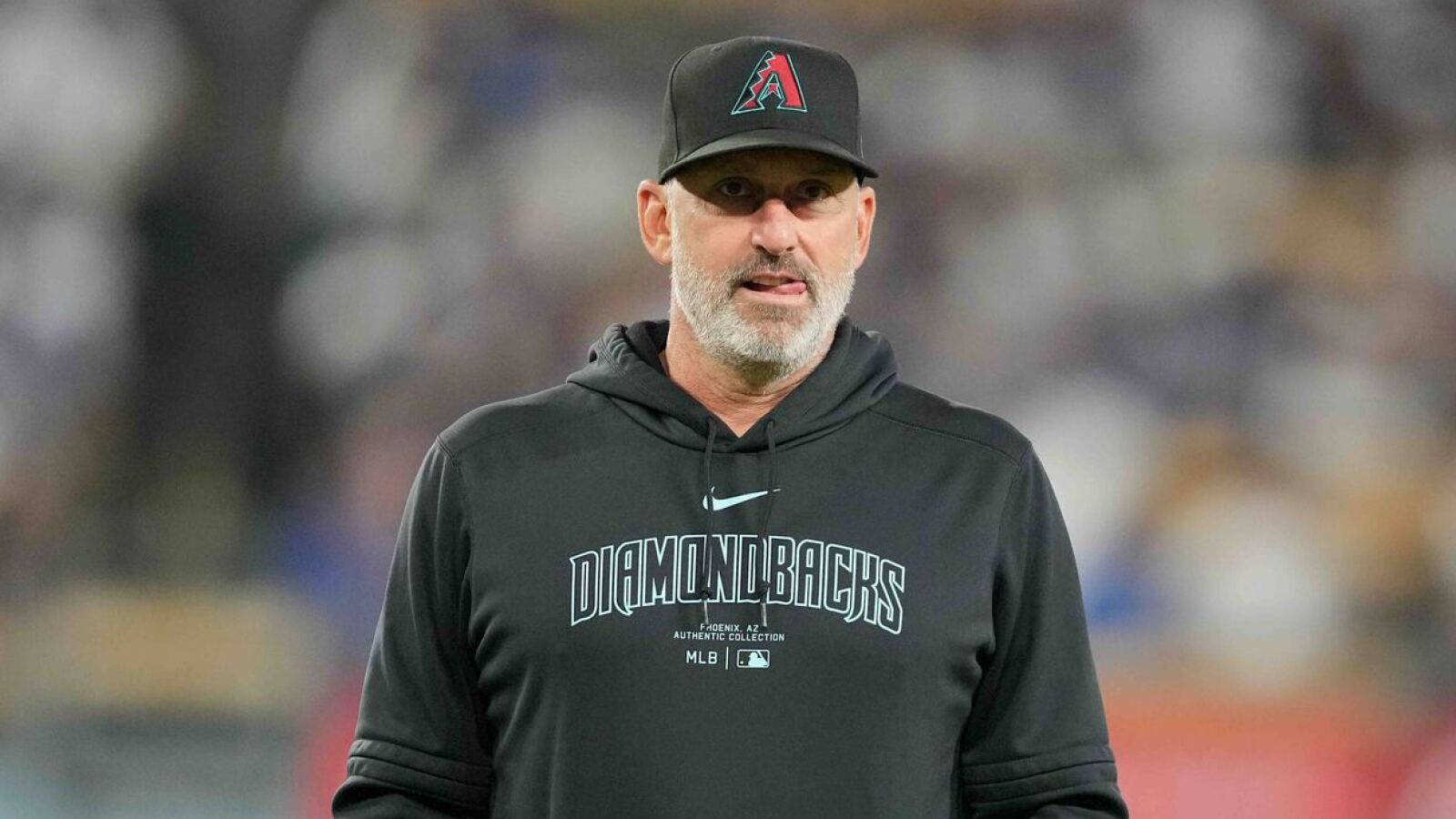 Diamondbacks announce 2025 coaching staff for Torey Lovullo's ninth ...
