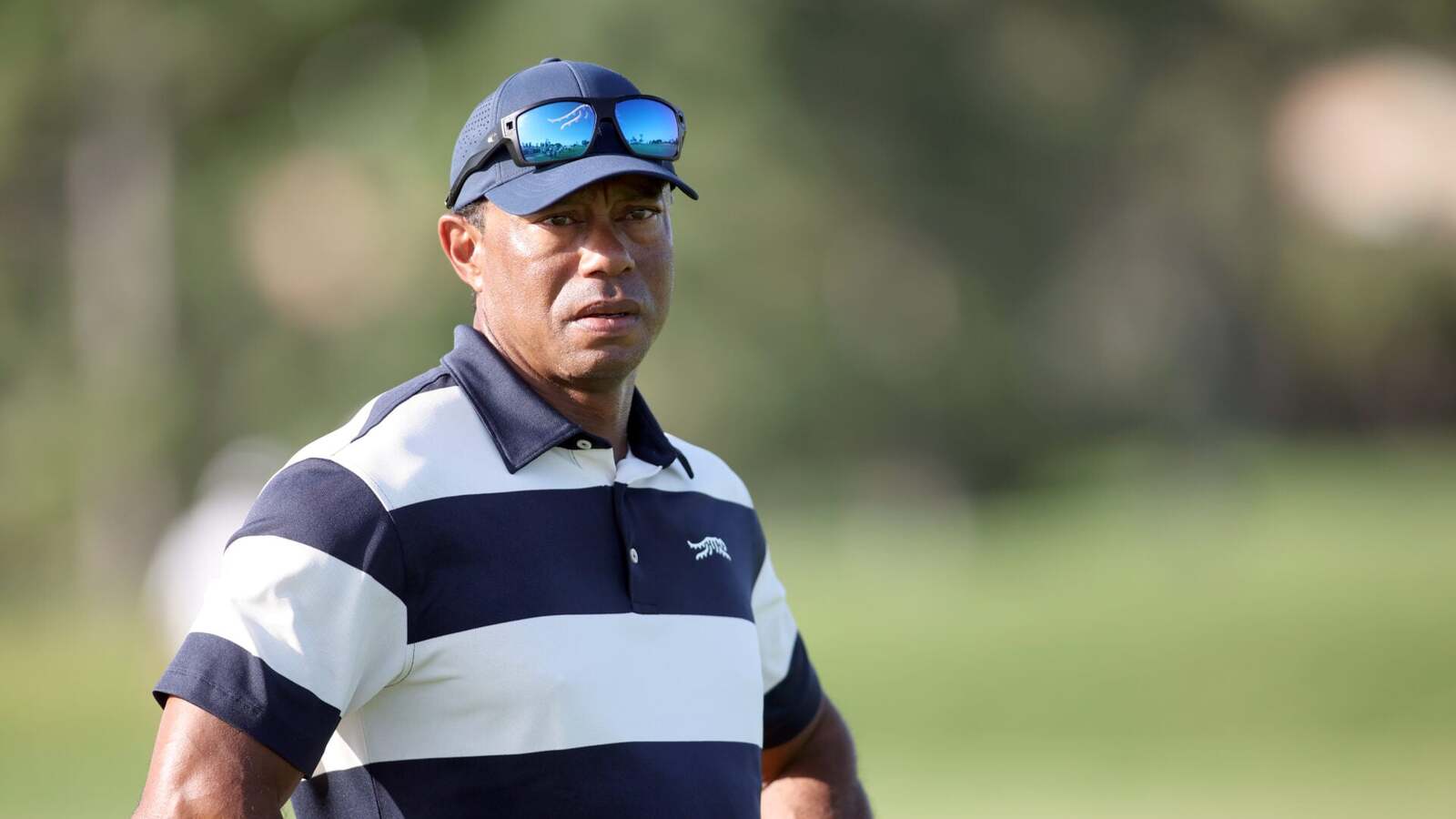 Tiger Woods Provides Update on His Golf Game Progress