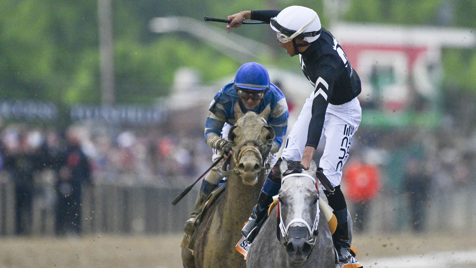 2024 Preakness Stakes order of finish, payouts, results: Seize The Grey wins Preakness at 9-1 - Vimarsana News