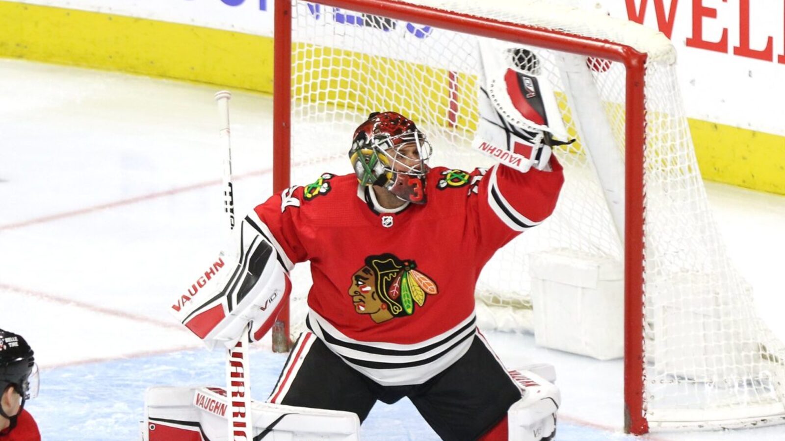 NHL News