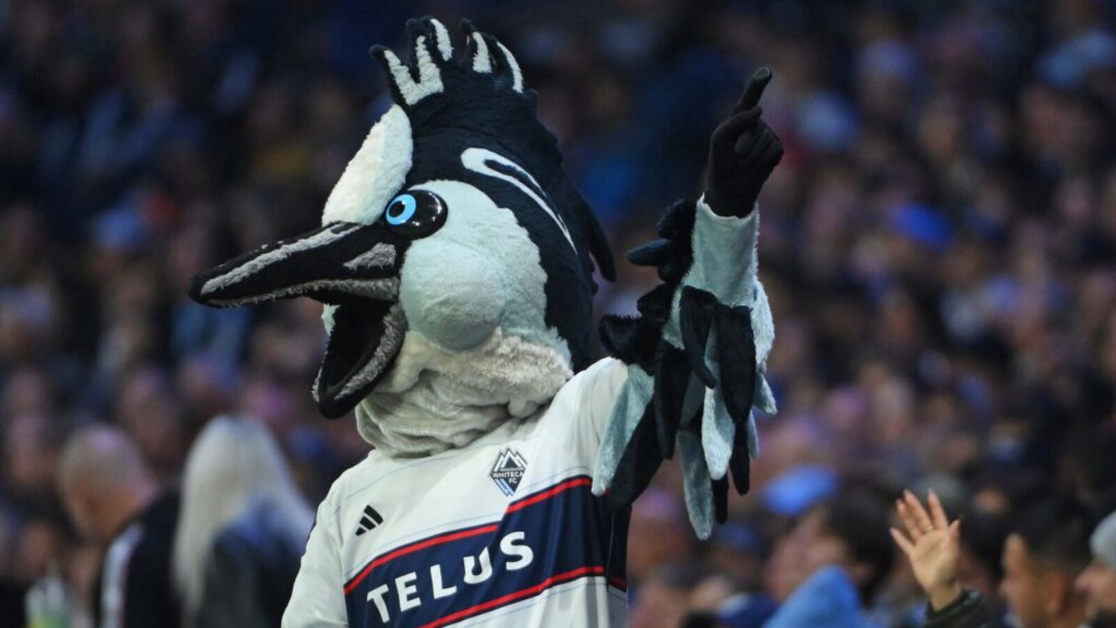 The Iconic Vancouver Whitecaps FC Name and Logo Origins Yardbarker