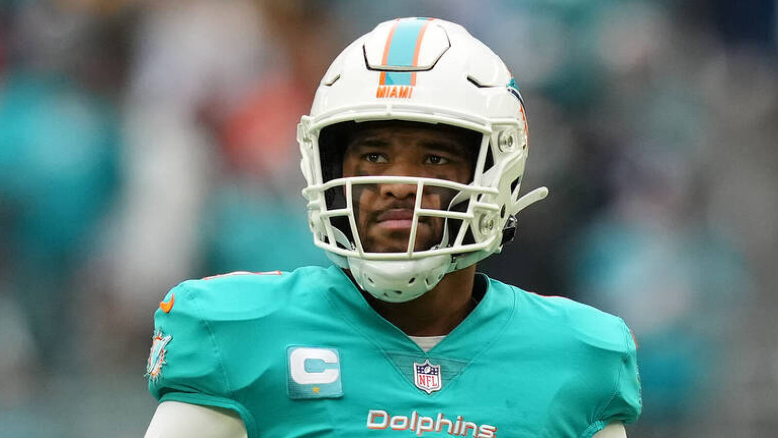miami dolphins yardbarker
