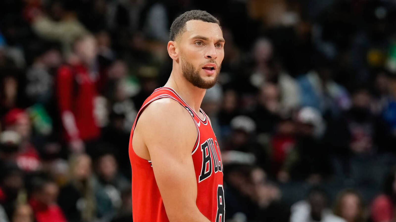 NBA Зак Лавин