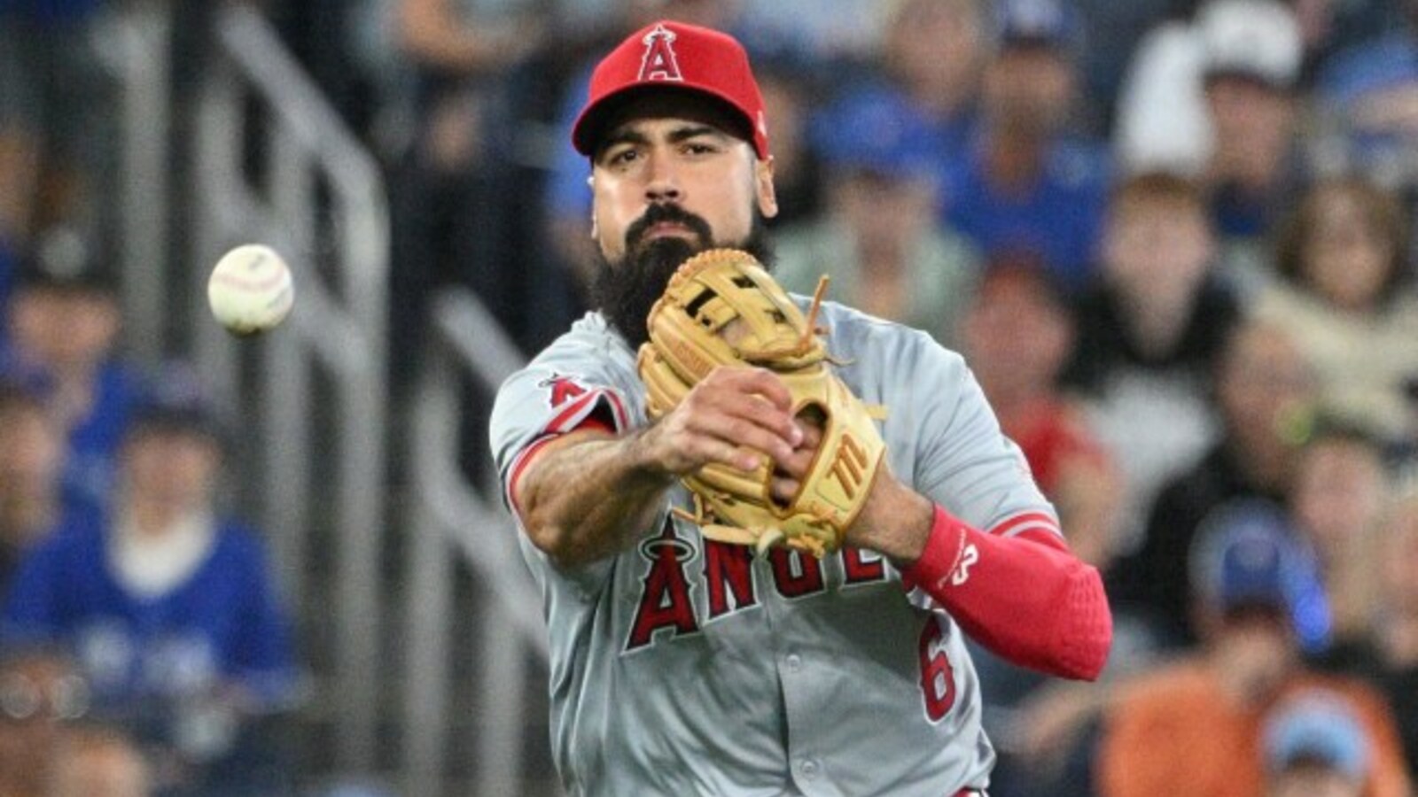 Los Angeles Angels Finally Realize Their Mistake With Anthony Rendon ...