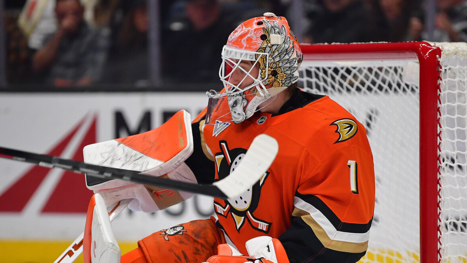 Ducks have major concern pop up with Lukas Dostal update | Yardbarker