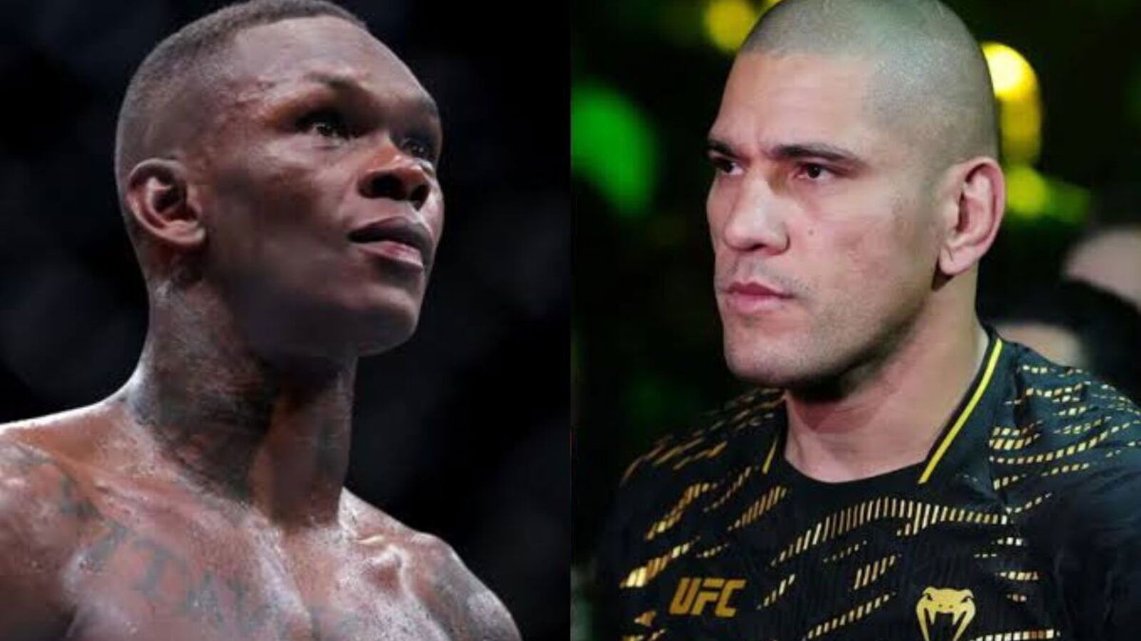 UFC Seattle: Alex Pereira’s Kickboxing Rival & Veteran Desk Analyst Join Israel Adesanya’s Card