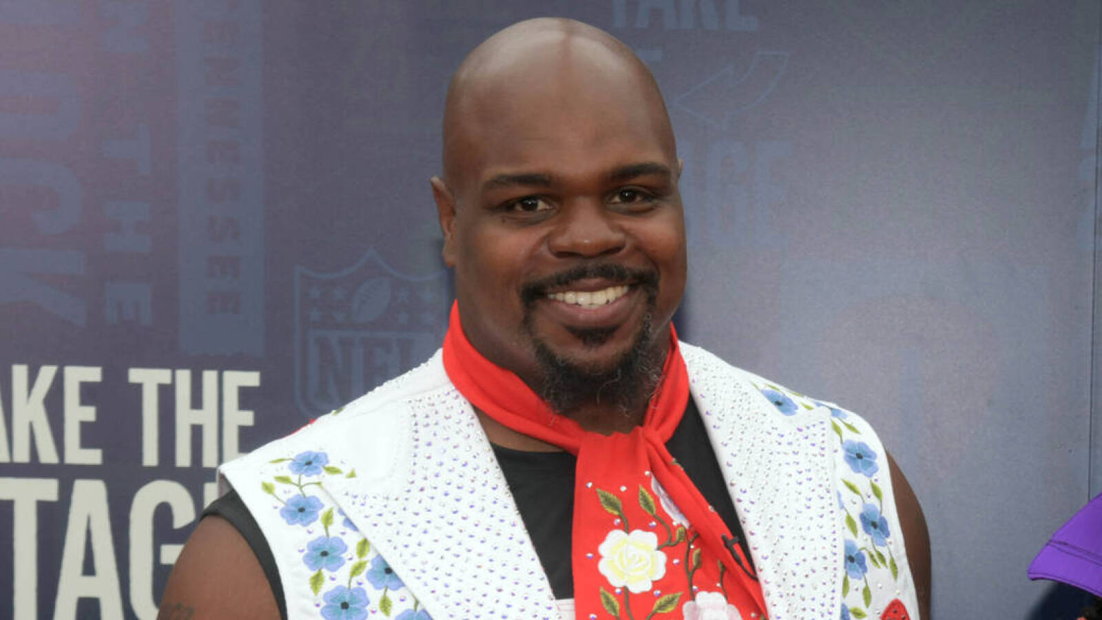 Vince Wilfork  The Patriots Hall of Fame