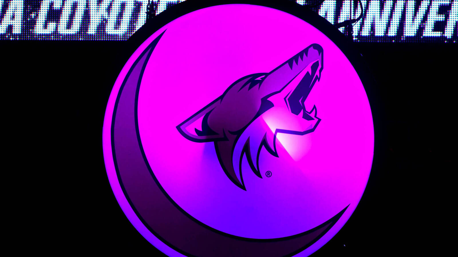 Coyotes' temporary home rink to be called Mullett Arena - Vimarsana News
