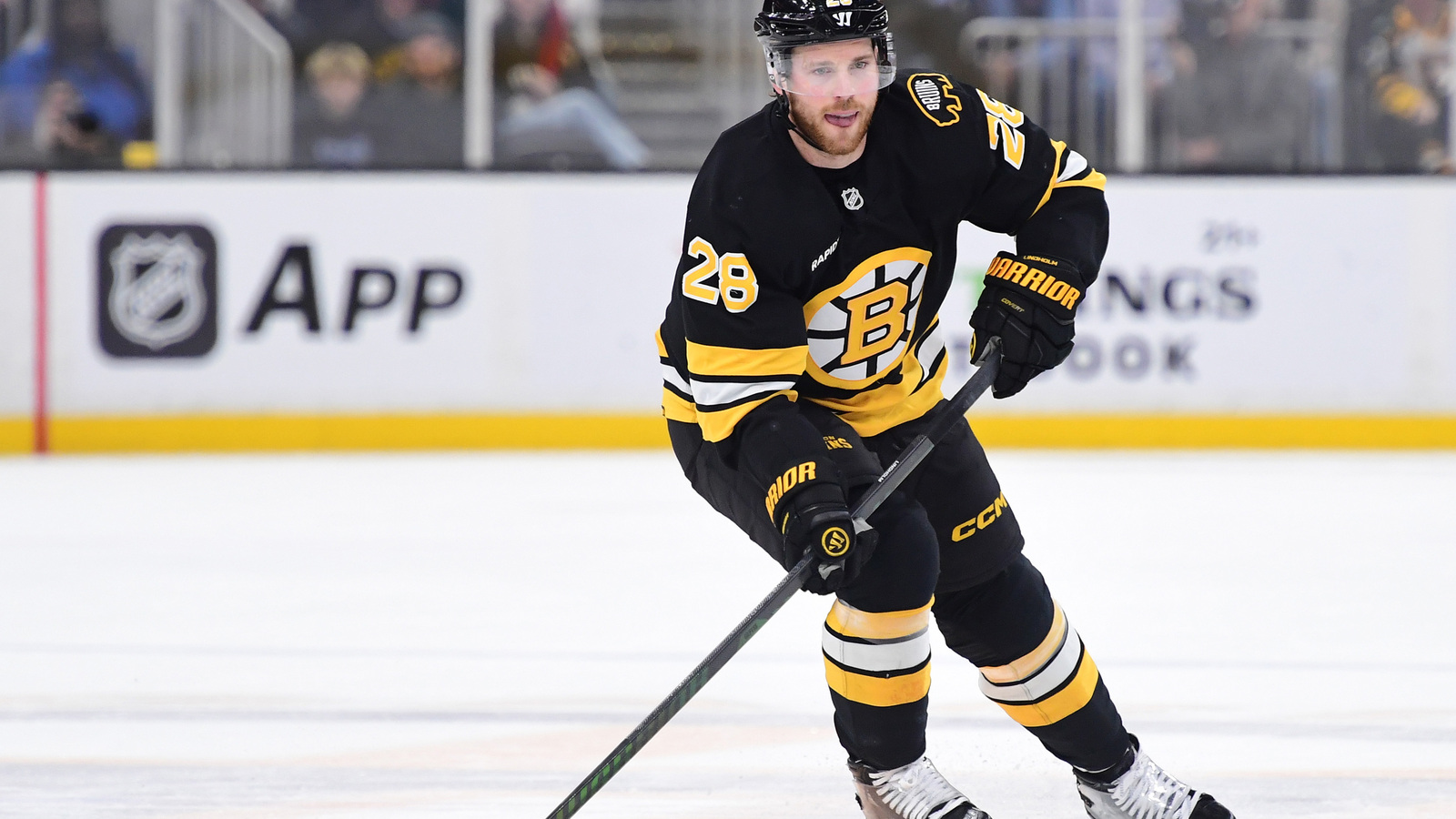 Boston Bruins Center Makes Team Sweden; Defenseman Is a Notable ...