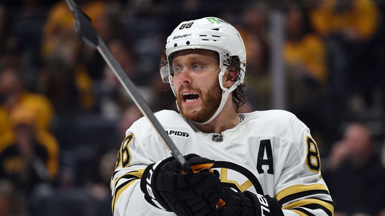 Bruins Predictions Against Maple Leafs in 2024 Playoffs BVM Sports
