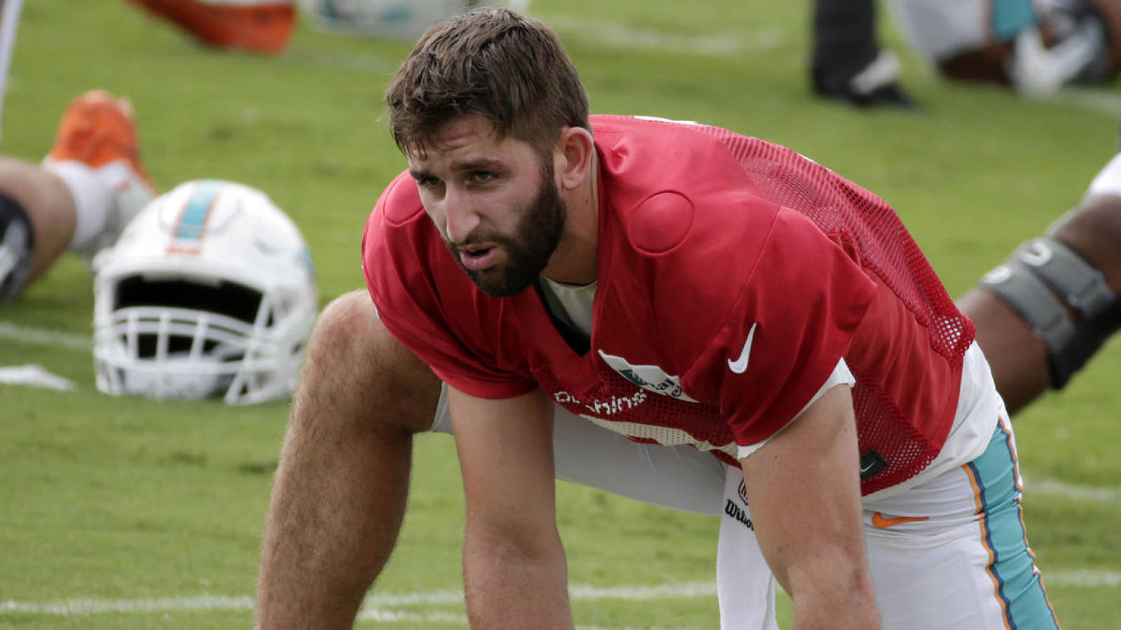 Josh rosen deals