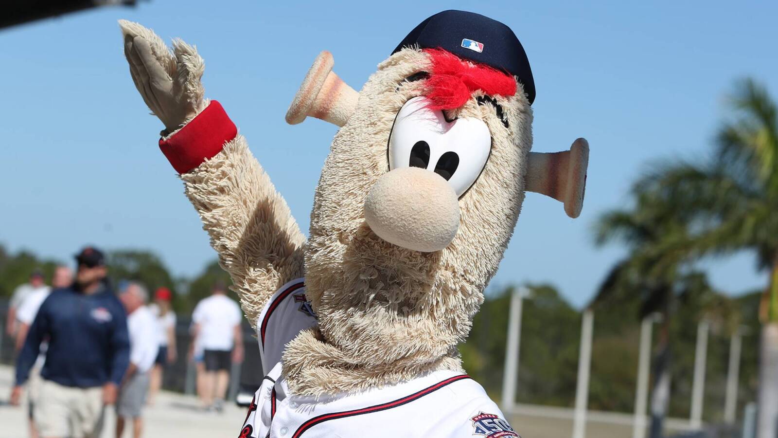Watch: Braves mascot Blooper runs over youth football player
