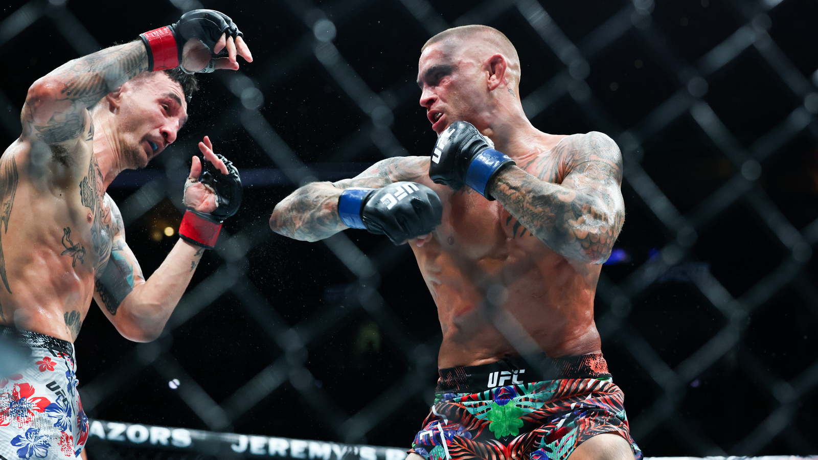 Examining Sterling Career of 'The Diamond', Certain UFC Hall of Famer