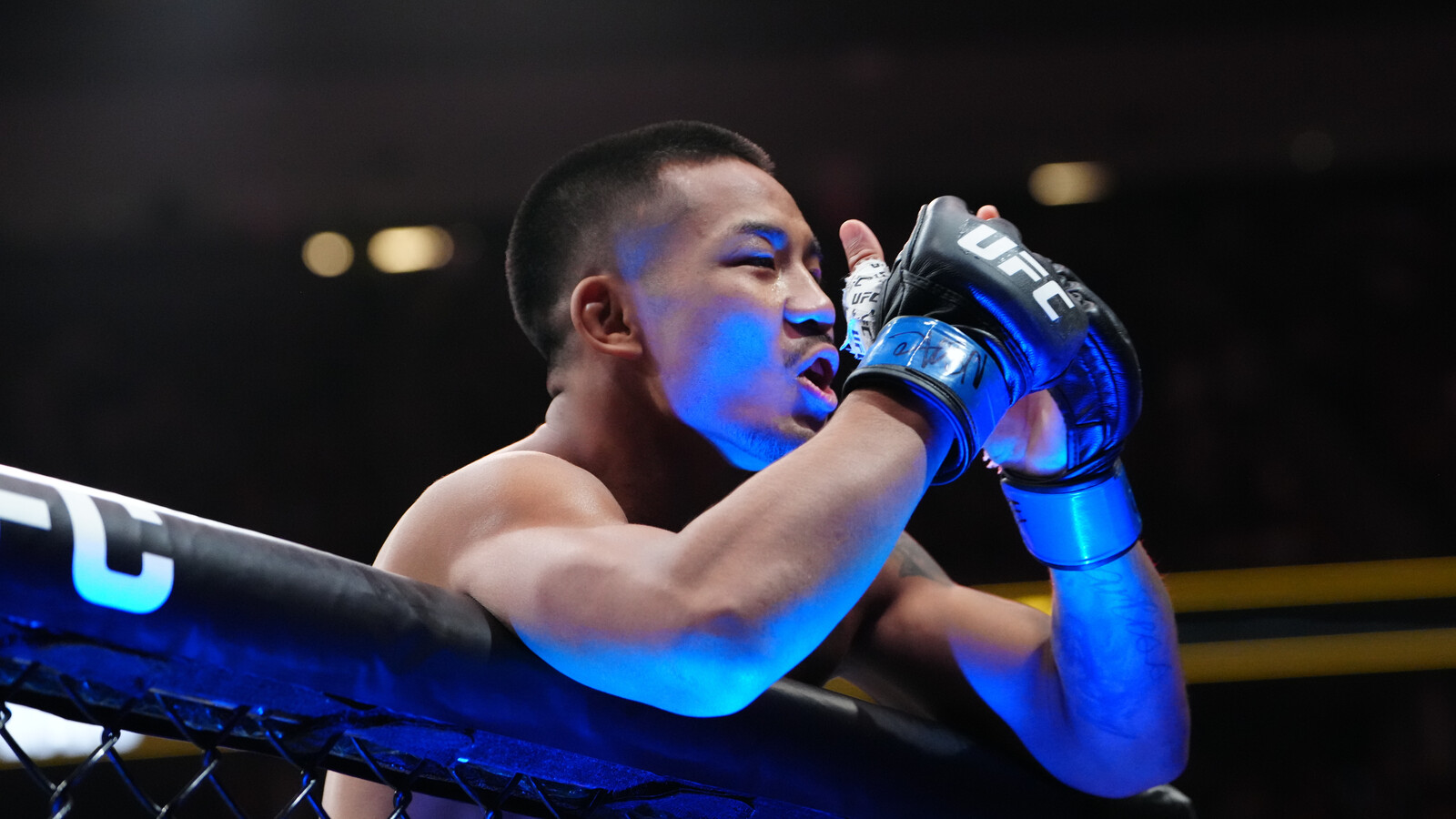 UFC 328 Walkout Songs: Entrance Music Used by Khamzat Chimaev, Sean Strickland, Joshua Van, and Others